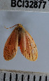  ( - YB-BCI32877)  @11 [ ] No Rights Reserved  Unspecified Unspecified