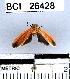  ( - YB-BCI26428)  @12 [ ] No Rights Reserved  Unspecified Unspecified