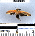  ( - YB-BCI45035)  @12 [ ] No Rights Reserved  Unspecified Unspecified