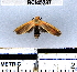  ( - YB-BCI45287)  @12 [ ] No Rights Reserved  Unspecified Unspecified