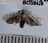  ( - YB-BCI58428)  @12 [ ] No Rights Reserved  Unspecified Unspecified