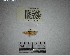  ( - YB-BCI177094)  @11 [ ] No Rights Reserved  Unspecified Unspecified