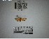  ( - YB-BCI194657)  @11 [ ] No Rights Reserved  Unspecified Unspecified