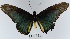  ( - YB-BCI162876)  @11 [ ] No Rights Reserved  Unspecified Unspecified