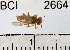  ( - YB-BCI2664)  @12 [ ] No Rights Reserved (2011) Yves Basset Smithsonian Tropical Research Institute