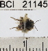  ( - YB-BCI21145)  @12 [ ] No Rights Reserved (2011) Yves Basset Smithsonian Tropical Research Institute