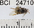  ( - YB-BCI24710)  @13 [ ] No Rights Reserved (2011) Yves Basset Smithsonian Tropical Research Institute