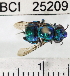 ( - YB-BCI25209)  @14 [ ] No Rights Reserved (2011) Yves Basset Smithsonian Tropical Research Institute