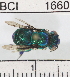  ( - YB-BCI1660)  @11 [ ] No Rights Reserved (2011) Yves Basset Smithsonian Tropical Research Institute