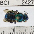  ( - YB-BCI2427)  @11 [ ] No Rights Reserved (2011) Yves Basset Smithsonian Tropical Research Institute
