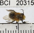  ( - YB-BCI20315)  @13 [ ] No Rights Reserved (2011) Yves Basset Smithsonian Tropical Research Institute