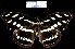  ( - YB-BCI55.2)  @12 [ ] No Rights Reserved  Unspecified Unspecified