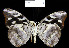  ( - YB-BCI55.2)  @12 [ ] No Rights Reserved  Unspecified Unspecified