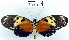  ( - YB-BCI207)  @12 [ ] No Rights Reserved  Unspecified Unspecified