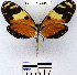  ( - YB-BCI13391)  @14 [ ] No Rights Reserved  Unspecified Unspecified