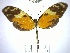  ( - YB-BCI72547)  @11 [ ] No Rights Reserved  Unspecified Unspecified