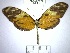  ( - YB-BCI72547)  @11 [ ] No Rights Reserved  Unspecified Unspecified