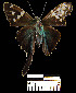  ( - YB-BCI2889)  @13 [ ] No Rights Reserved  Unspecified Unspecified