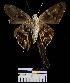  ( - YB-BCI2889)  @13 [ ] No Rights Reserved  Unspecified Unspecified
