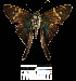  ( - YB-BCI5085)  @13 [ ] No Rights Reserved  Unspecified Unspecified