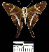  ( - YB-BCI5085)  @13 [ ] No Rights Reserved  Unspecified Unspecified