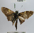  ( - YB-BCI65491)  @13 [ ] No Rights Reserved  Unspecified Unspecified