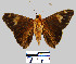  ( - YB-BCI17374)  @13 [ ] No Rights Reserved  Unspecified Unspecified