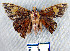 ( - YB-BCI12858)  @12 [ ] No Rights Reserved  Unspecified Unspecified