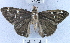  ( - YB-BCI41292)  @13 [ ] No Rights Reserved (2011) Unspecified Unspecified