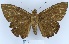  ( - YB-BCI141733)  @11 [ ] No Rights Reserved  Unspecified Unspecified
