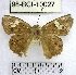  ( - YB-98-BCI-10027)  @11 [ ] No Rights Reserved  Unspecified Unspecified