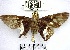  ( - YB-BCI87315.2)  @11 [ ] No Rights Reserved  Unspecified Unspecified