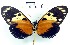  ( - YB-BCI11494)  @12 [ ] No Rights Reserved  Unspecified Unspecified