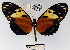  ( - YB-BCI41650)  @13 [ ] No Rights Reserved  Unspecified Unspecified