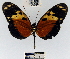  ( - YB-BCI49676)  @13 [ ] No Rights Reserved  Unspecified Unspecified