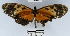  ( - YB-BCI50095)  @12 [ ] No Rights Reserved  Unspecified Unspecified