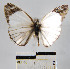  ( - YB-BCI23473)  @12 [ ] No Rights Reserved  Unspecified Unspecified