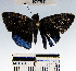  ( - YB-BCI49681)  @12 [ ] No Rights Reserved  Unspecified Unspecified