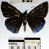  ( - YB-BCI49695)  @12 [ ] No Rights Reserved  Unspecified Unspecified