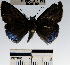  ( - YB-BCI50155)  @12 [ ] No Rights Reserved  Unspecified Unspecified