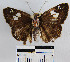  ( - YB-BCI6333)  @12 [ ] No Rights Reserved  Unspecified Unspecified
