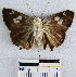  ( - YB-BCI6333)  @12 [ ] No Rights Reserved  Unspecified Unspecified