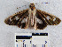  ( - YB-BCI11092)  @12 [ ] No Rights Reserved  Unspecified Unspecified