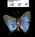  ( - YB-BCI162)  @11 [ ] No Rights Reserved  Unspecified Unspecified