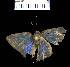 ( - YB-BCI298)  @12 [ ] No Rights Reserved  Unspecified Unspecified