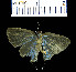  ( - YB-BCI107)  @13 [ ] No Rights Reserved  Unspecified Unspecified