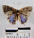  ( - YB-BCI11506)  @12 [ ] No Rights Reserved  Unspecified Unspecified