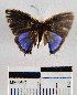  ( - YB-BCI11628)  @12 [ ] No Rights Reserved  Unspecified Unspecified