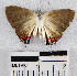  ( - YB-BCI11628)  @12 [ ] No Rights Reserved  Unspecified Unspecified