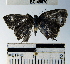  ( - YB-BCI49670)  @12 [ ] No Rights Reserved  Unspecified Unspecified